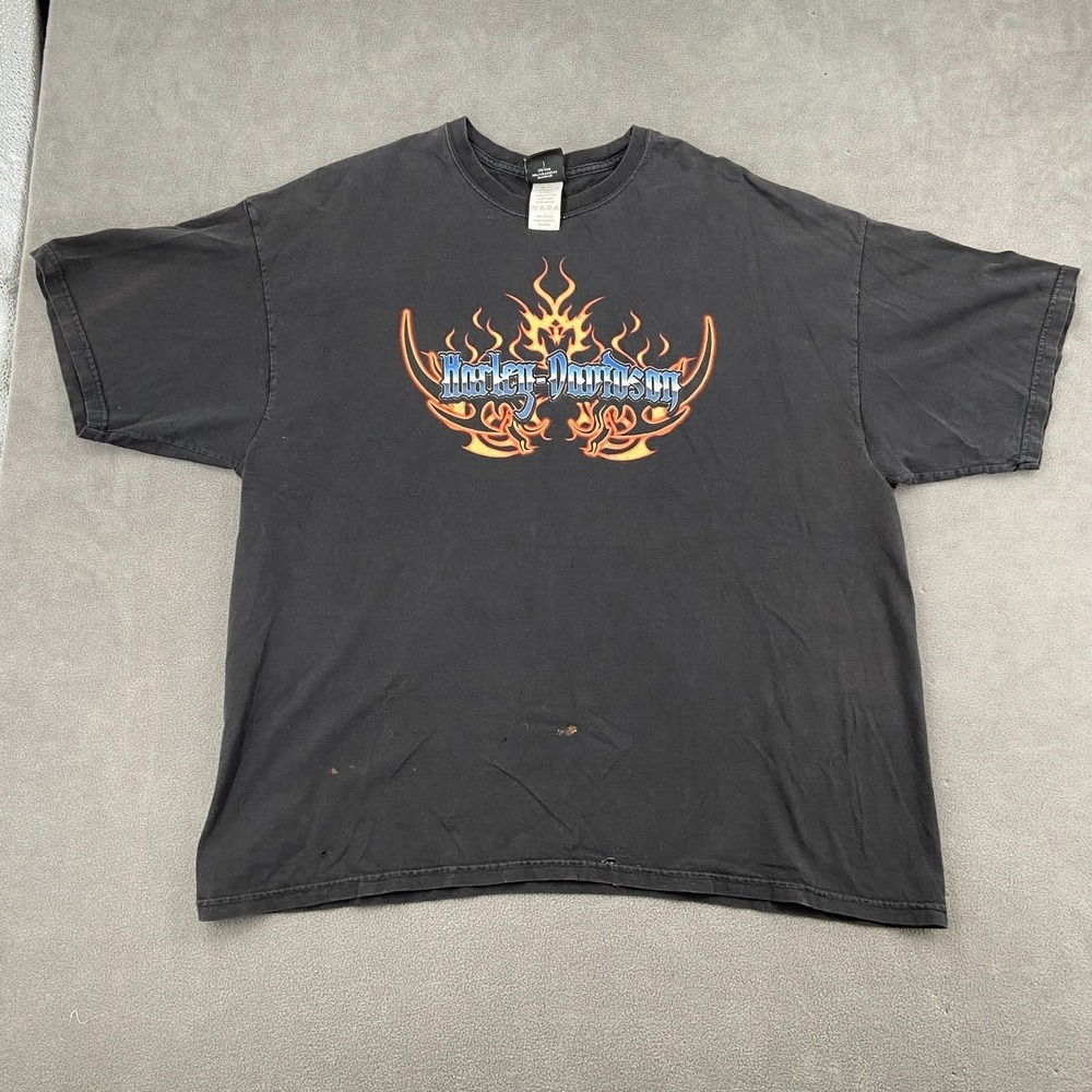 Harley Davidson Big Boar T Shirt Mens 3XL Black Cotton Flame Graphic Print Logo